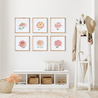 Design Shop Colorful Chrysanthemum Prints, Set Of 6
