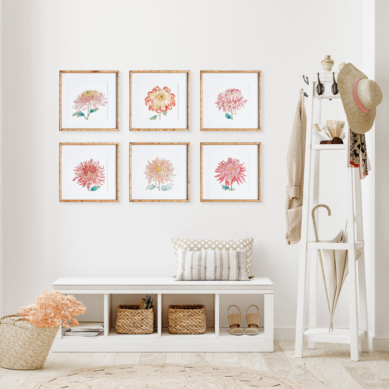 Design Shop Colorful Chrysanthemum Prints, Set Of 6