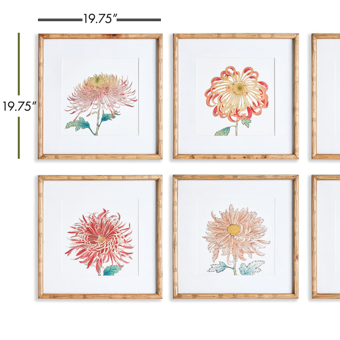 Design Shop Colorful Chrysanthemum Prints, Set Of 6