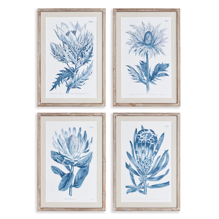 Design Shop Indigo Protea Prints, Set Of 4