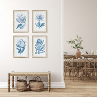 Design Shop Indigo Protea Prints, Set Of 4