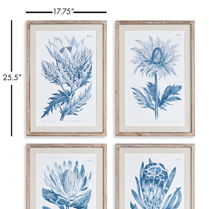 Design Shop Indigo Protea Prints, Set Of 4
