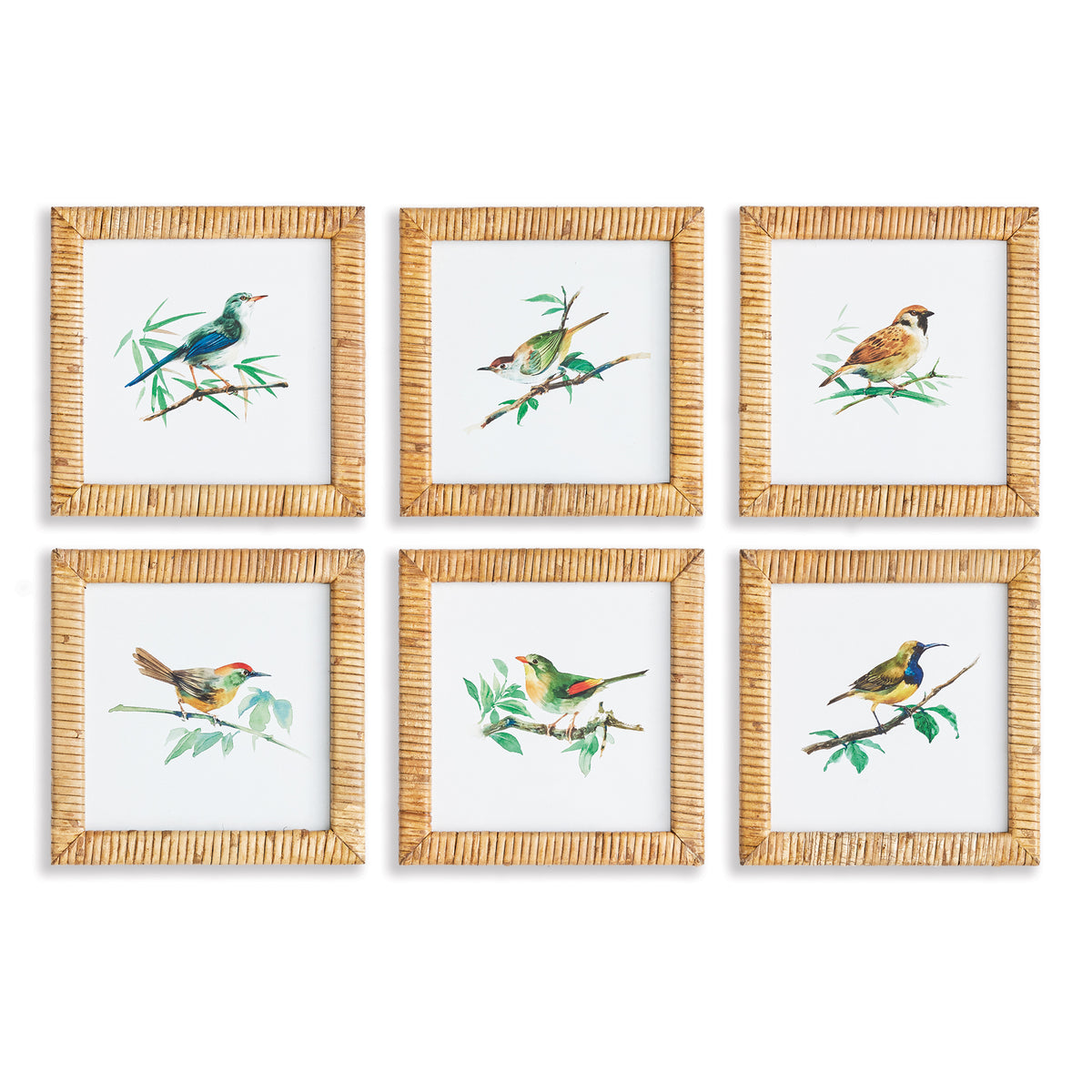 Design Shop Songbird Petite Prints, Set Of 6