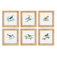 Design Shop Songbird Petite Prints, Set Of 6