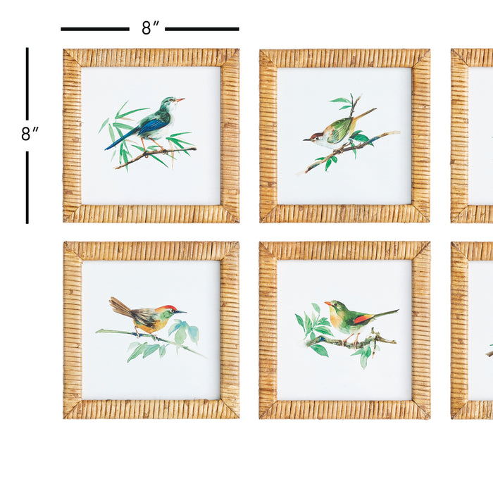 Design Shop Songbird Petite Prints, Set Of 6