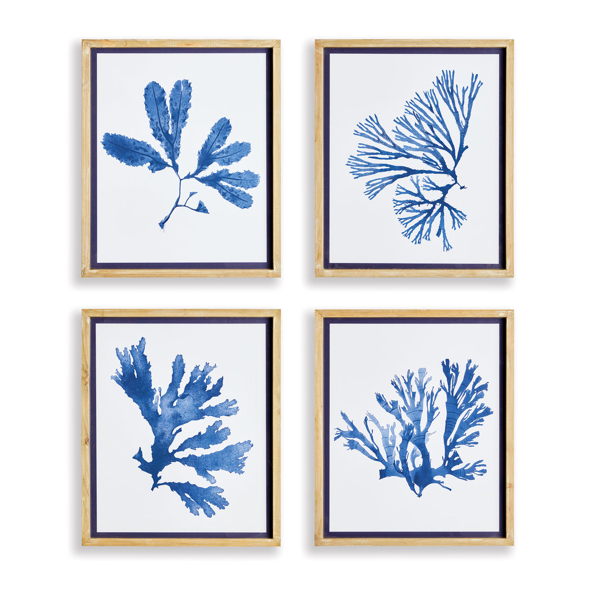 Design Shop Indigo Seaweed Prints, Set Of 4