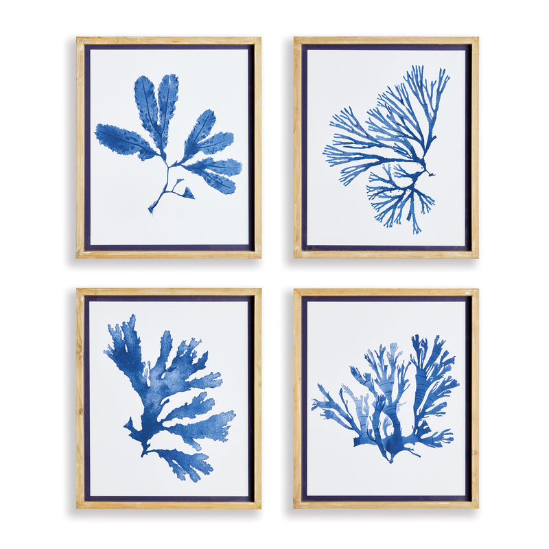 Design Shop Indigo Seaweed Prints, Set Of 4