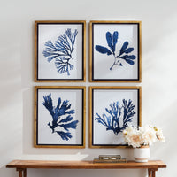 Design Shop Indigo Seaweed Prints, Set Of 4