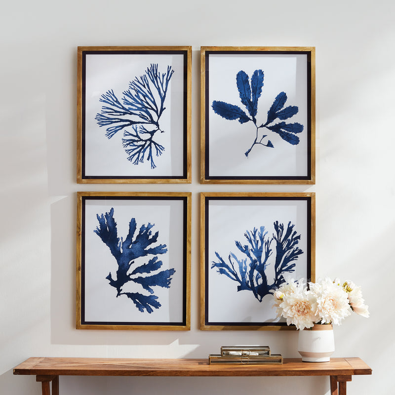 Design Shop Indigo Seaweed Prints, Set Of 4