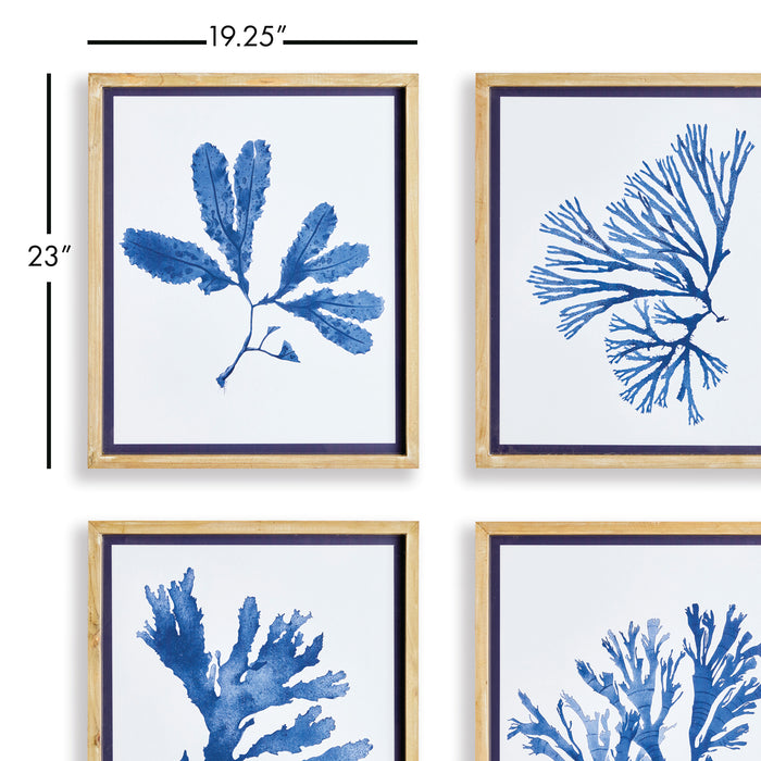 Design Shop Indigo Seaweed Prints, Set Of 4