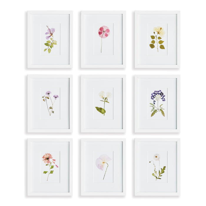 Design Shop Mountain Flower Petite Prints, Set Of 9
