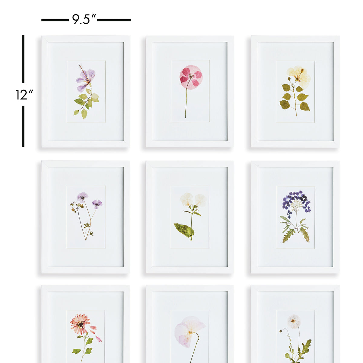 Design Shop Mountain Flower Petite Prints, Set Of 9