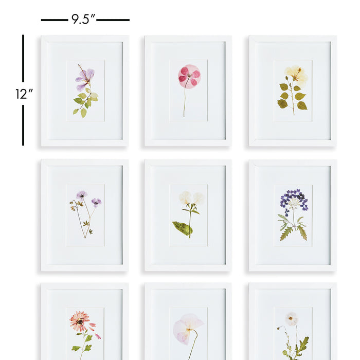 Design Shop Mountain Flower Petite Prints, Set Of 9