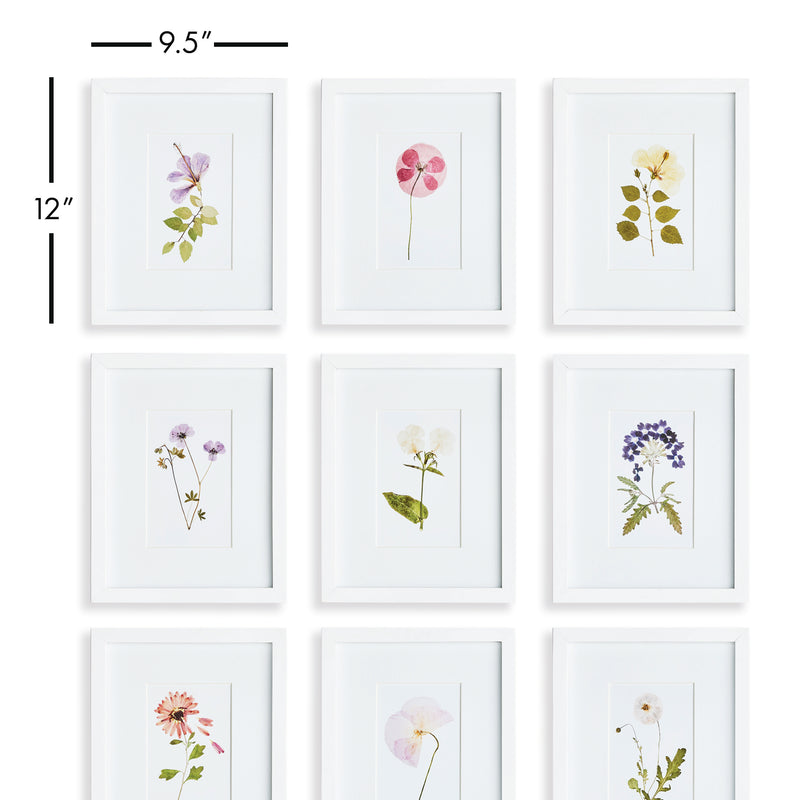Design Shop Mountain Flower Petite Prints, Set Of 9