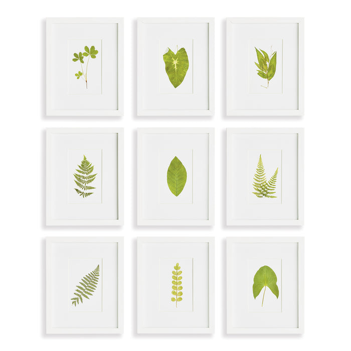 Design Shop Green Leaf Petite Prints, Set Of 9