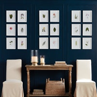 Design Shop Green Leaf Petite Prints, Set Of 9