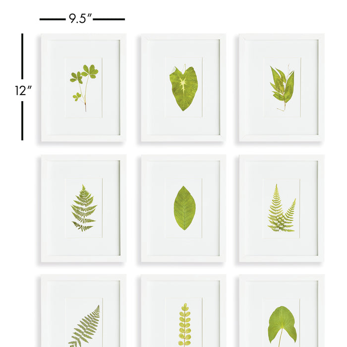Design Shop Green Leaf Petite Prints, Set Of 9