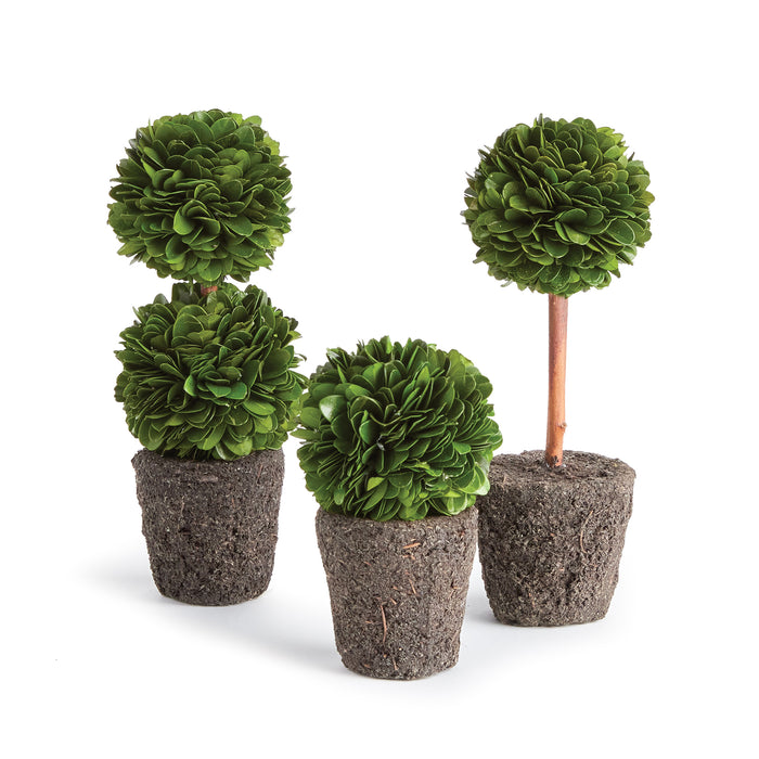 Design Shop Boxwood Mini Topiary Drop-Ins, Set Of 3