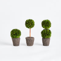 Design Shop Boxwood Mini Topiary Drop-Ins, Set Of 3
