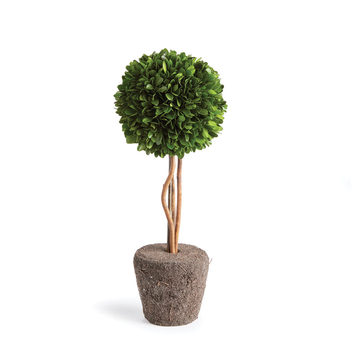 Design Shop Boxwood Single Sphere Topiary Drop-In 16"
