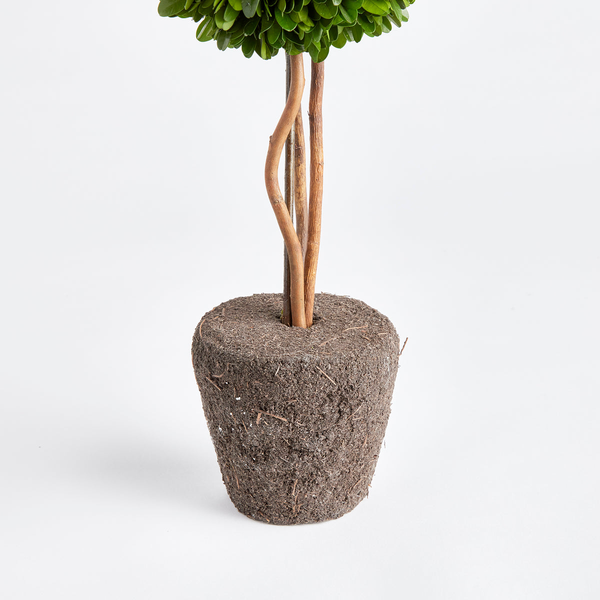 Design Shop Boxwood Single Sphere Topiary Drop-In 16"