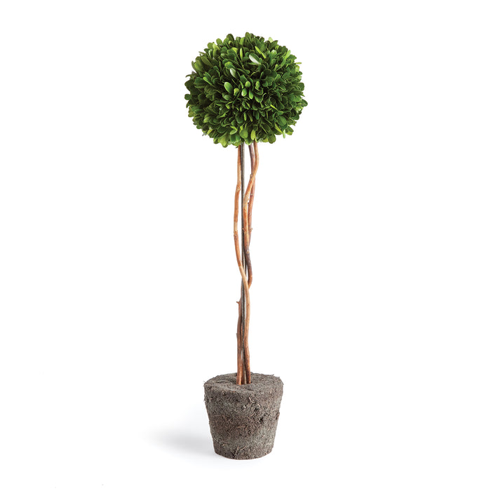 Design Shop Boxwood Single Sphere Topiary Drop-In 24"