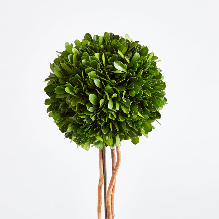 Design Shop Boxwood Single Sphere Topiary Drop-In 24"