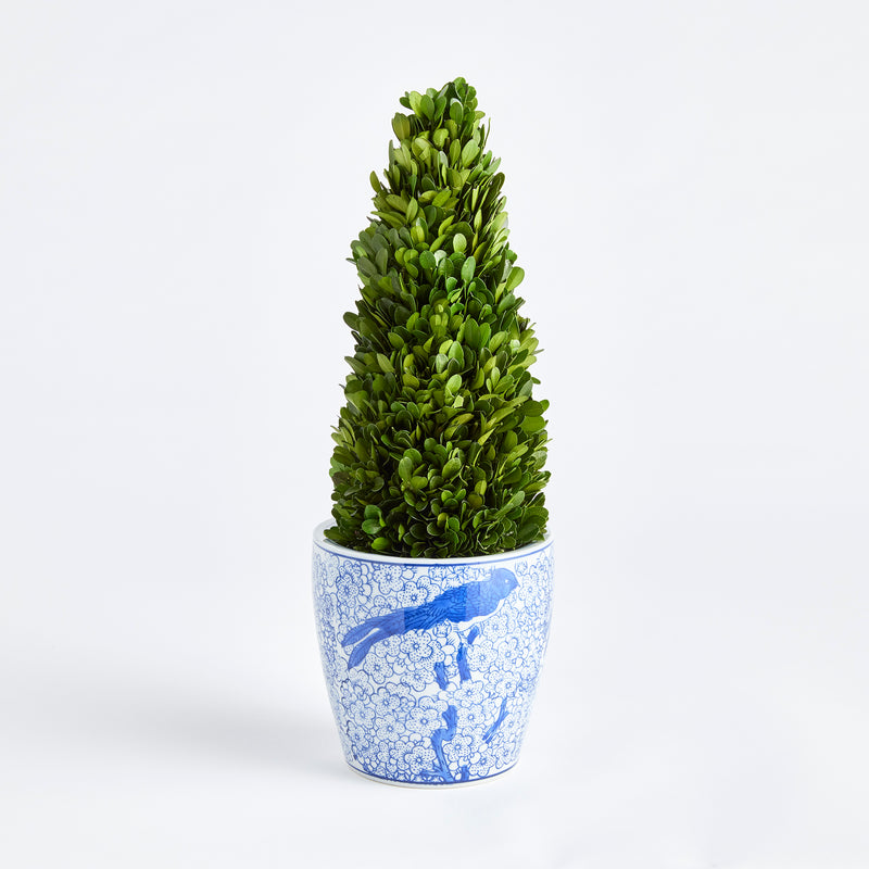 Design Shop Boxwood Cone Topiary Drop-In 16"