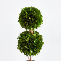 Design Shop Boxwood Double Sphere Topiary Drop-In 20"