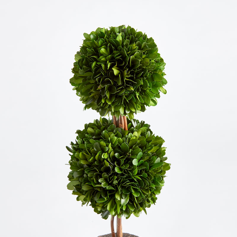 Design Shop Boxwood Double Sphere Topiary Drop-In 20"