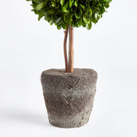 Design Shop Boxwood Double Sphere Topiary Drop-In 20"