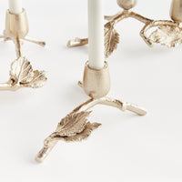 Design Shop Parna Taper Holders, Set Of 3