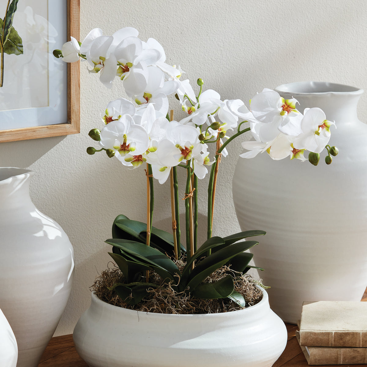 Design Shop Phalaenopsis Orchid Bowl Drop-In 20"