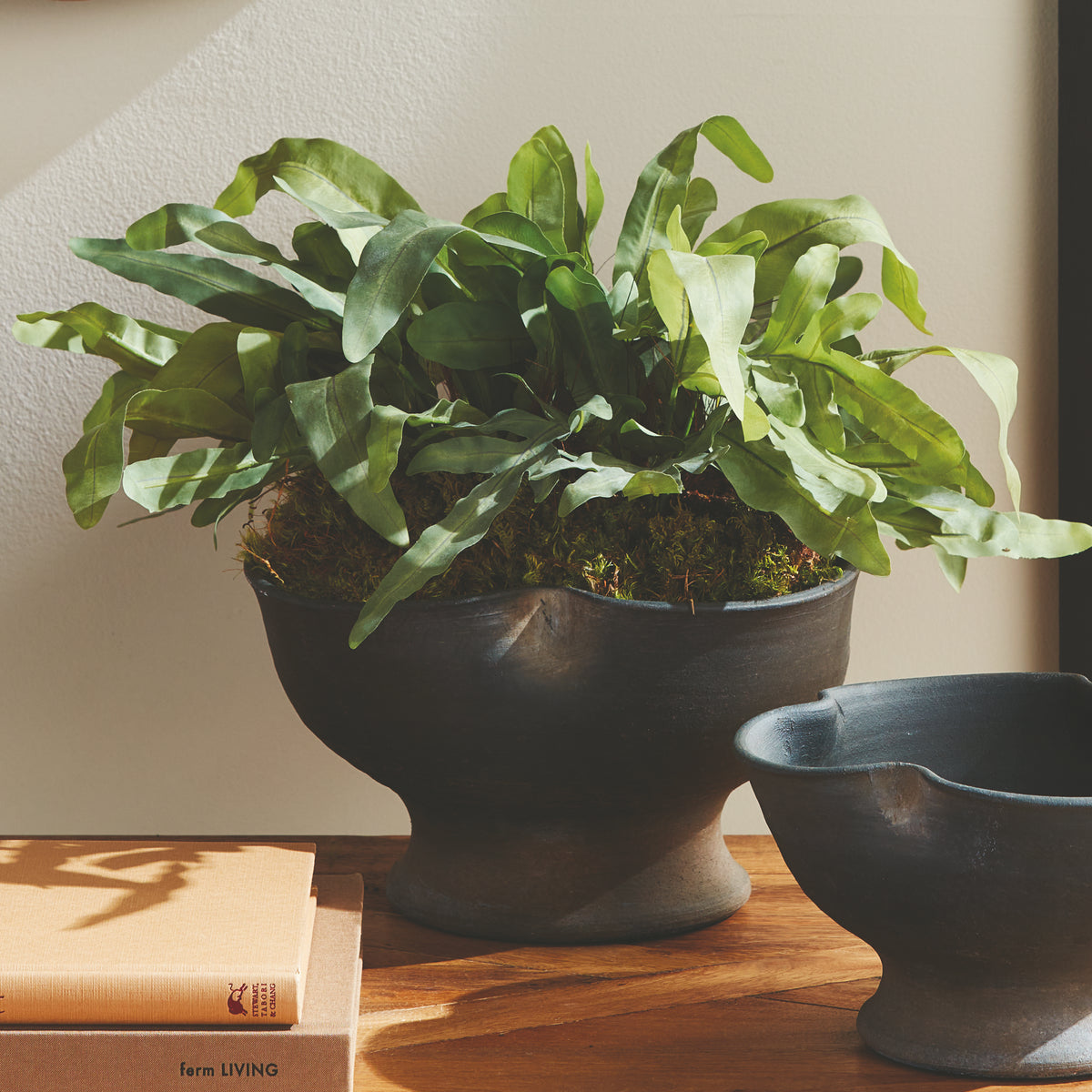 Design Shop Echeveria Fern Drop-In 13.5"