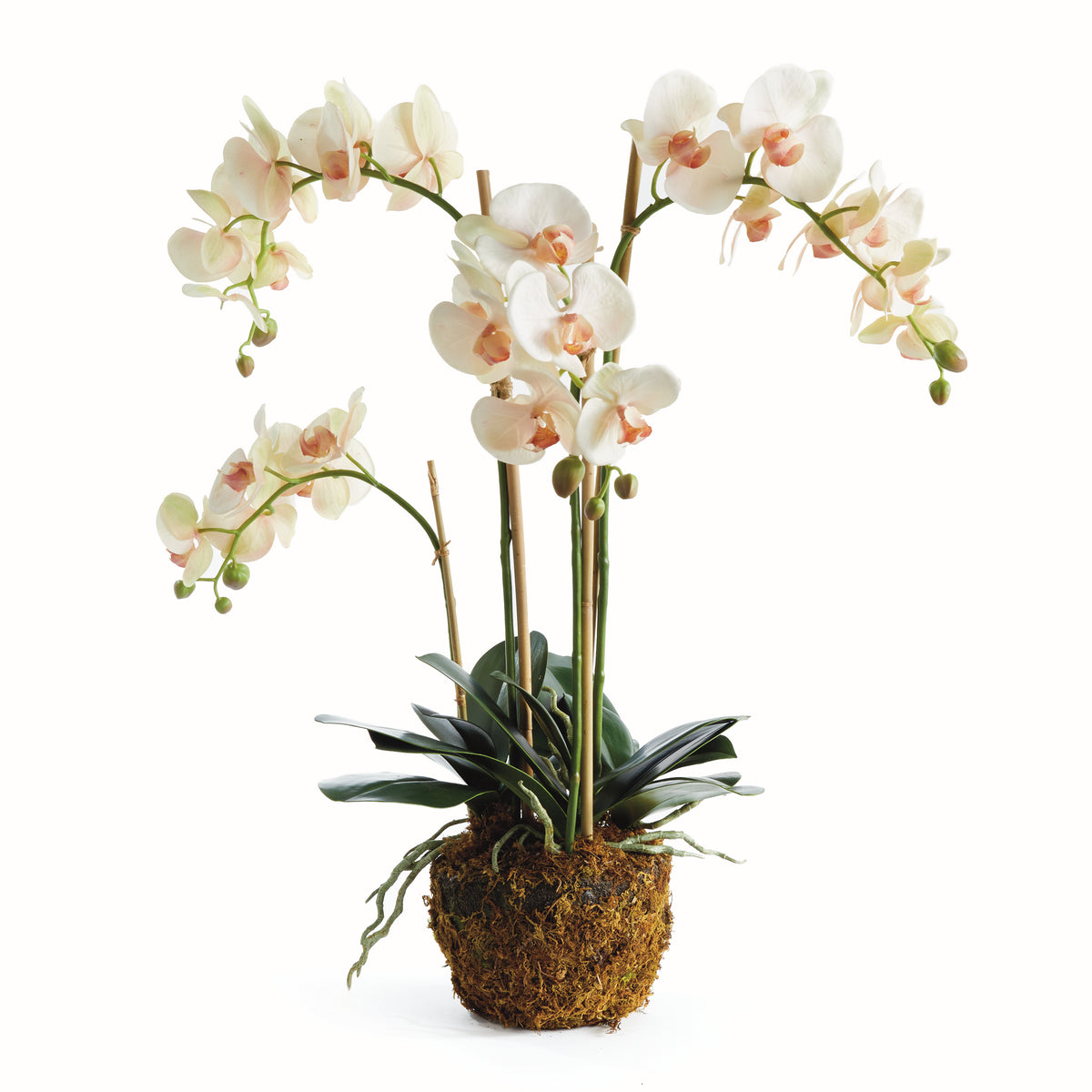 Design Shop Phalaenopsis Orchid Drop-In 30"