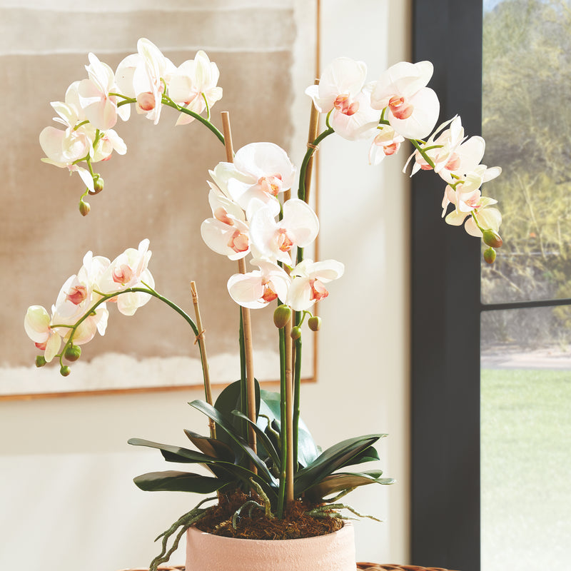Design Shop Phalaenopsis Orchid Drop-In 30"