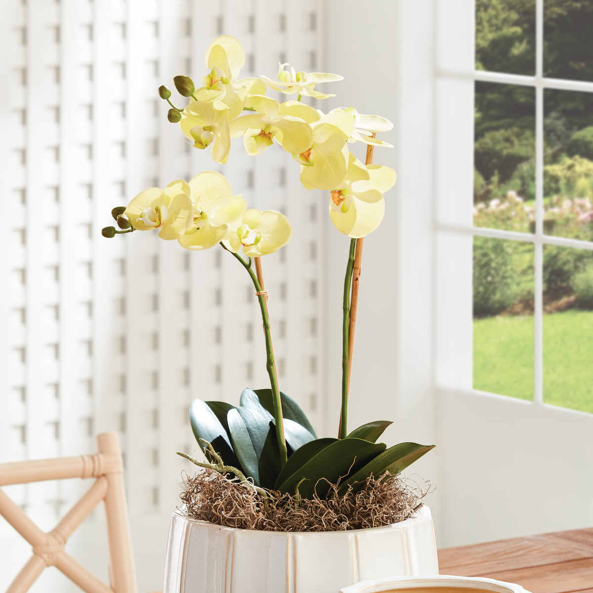Design Shop Phalaenopsis Orchid Drop-In 23"