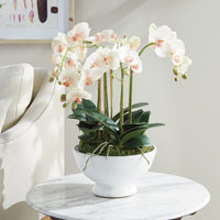 Design Shop Phalaenopsis Orchid Bowl Drop-In 18.5"