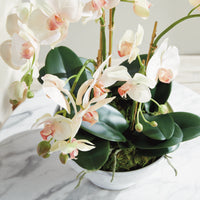 Design Shop Phalaenopsis Orchid Bowl Drop-In 18.5"