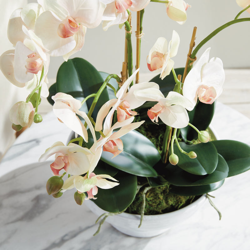 Design Shop Phalaenopsis Orchid Bowl Drop-In 18.5"