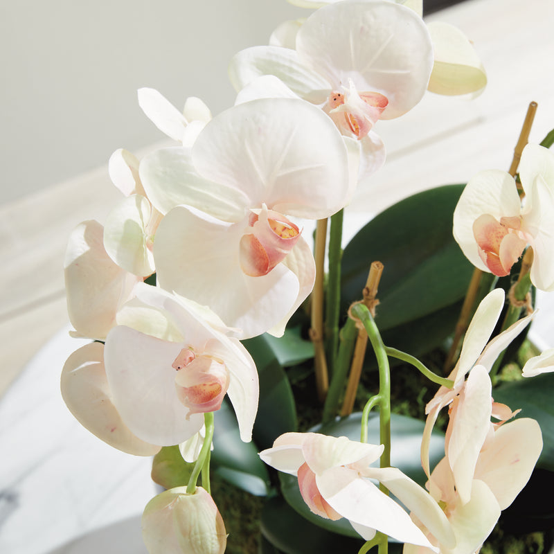 Design Shop Phalaenopsis Orchid Bowl Drop-In 18.5"