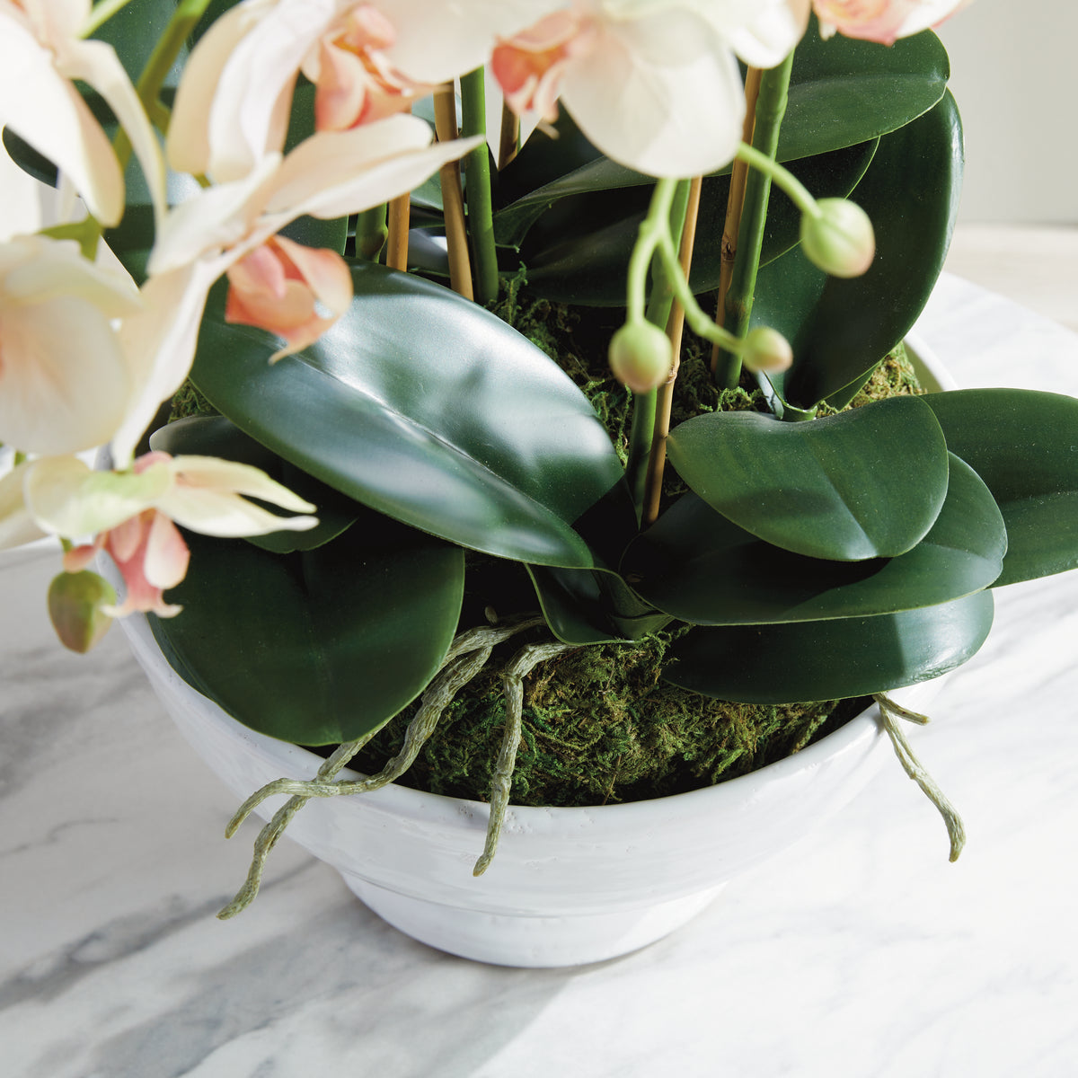 Design Shop Phalaenopsis Orchid Bowl Drop-In 18.5"