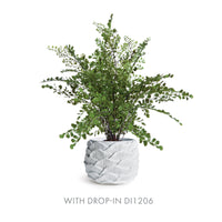 Design Shop Ashika Pot