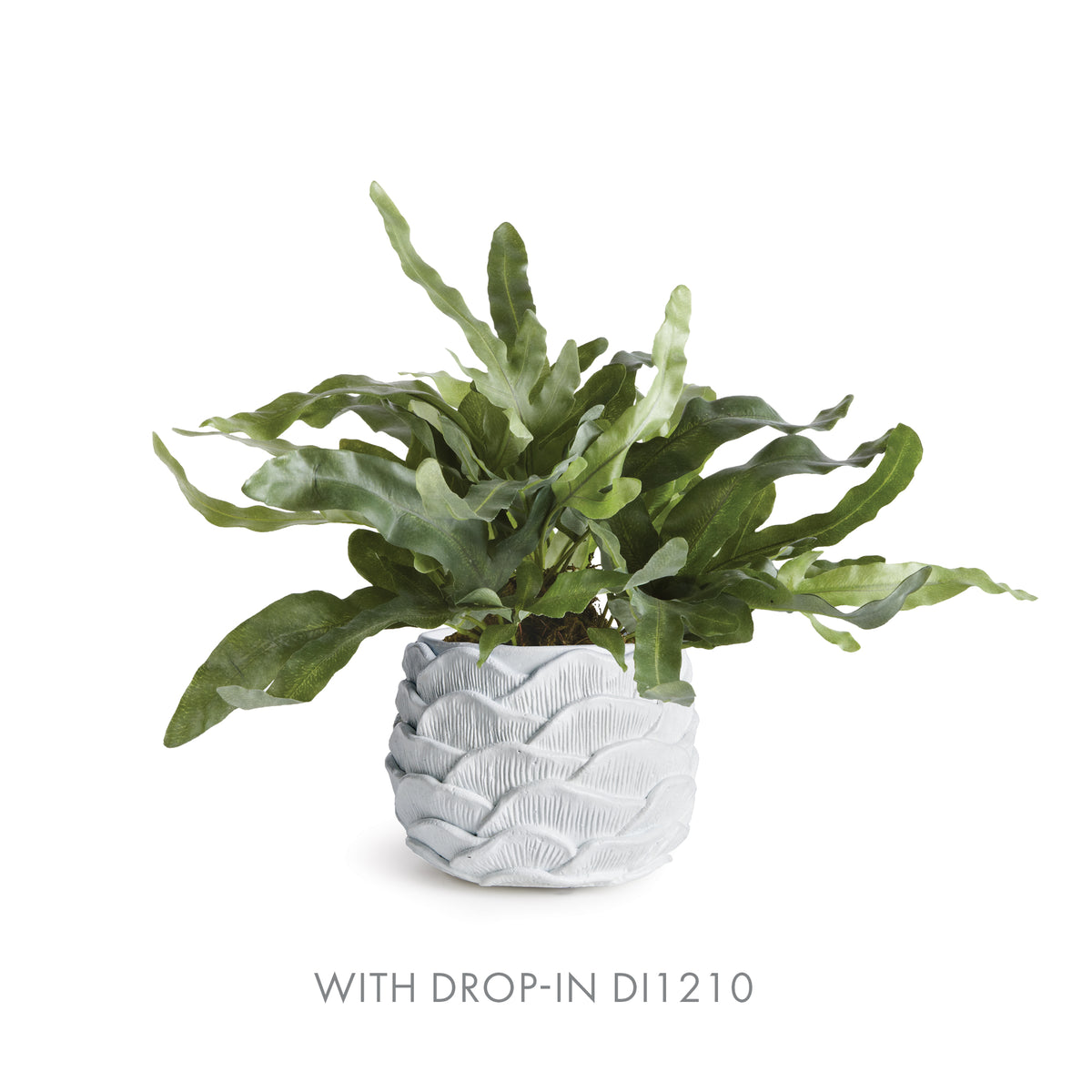 Design Shop Ashika Pot