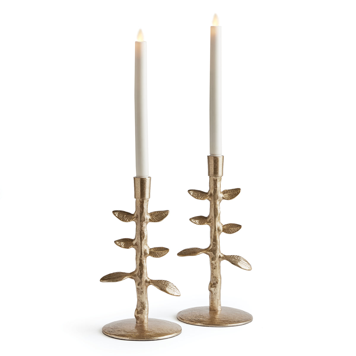 Design Shop Brier Taper Holders, Set Of 2