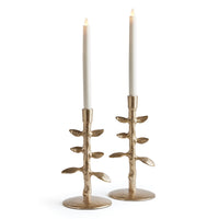 Design Shop Brier Taper Holders, Set Of 2