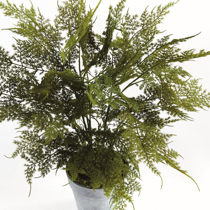 Design Shop Plumosa Fern Drop-In 21"