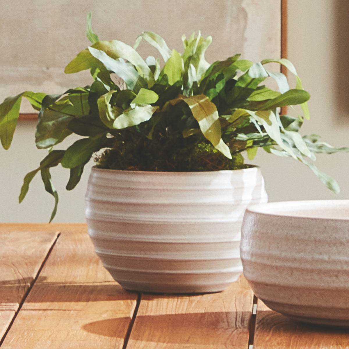 Design Shop Chryssa Pot