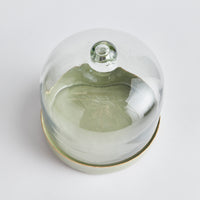 Design Shop Kammie Tray With Cloche Small