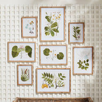 Design Shop Flora And Fauna Gallery Prints, Set Of 8